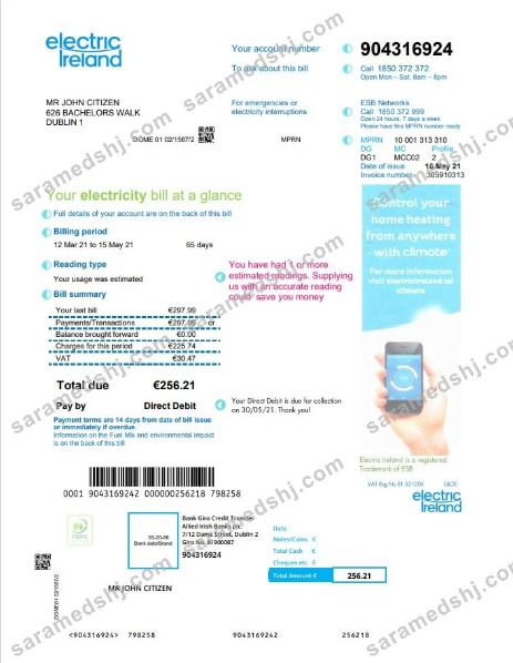 Ireland Electric Ireland utility bill